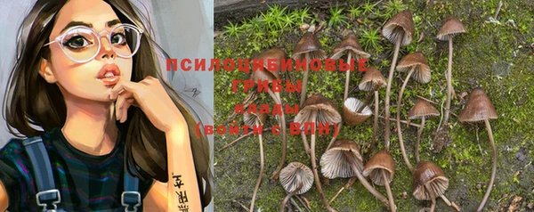 прущая мука Гусиноозёрск